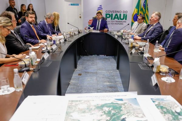 Governador discute projeto de hidrogênio verde com embaixadora da União Europeia no Brasil