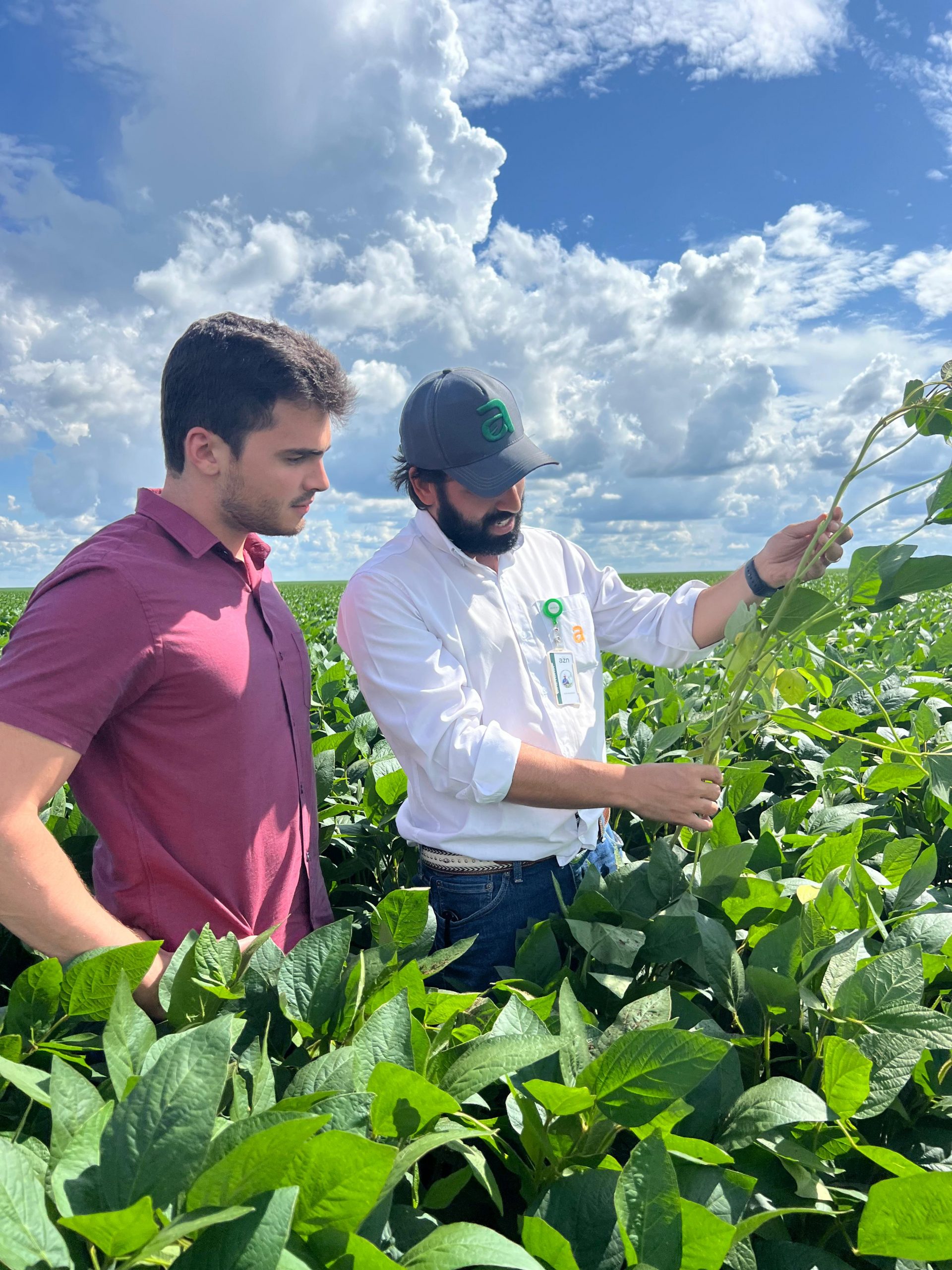Agroindústria do Piauí recebe mais de R$ 4,6 bilhões em investimentos privados